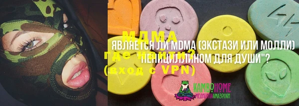 хмурый Алексин