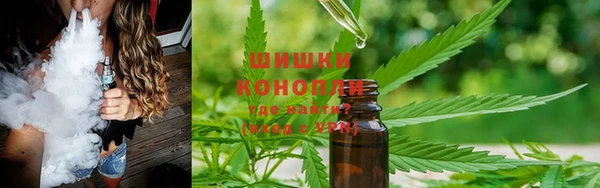 винт Абаза