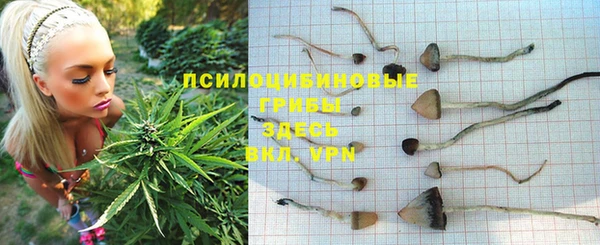 винт Абаза