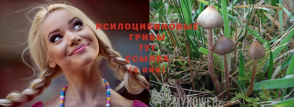 хмурый Алексин