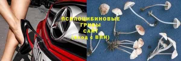 МДПВ Бутурлиновка