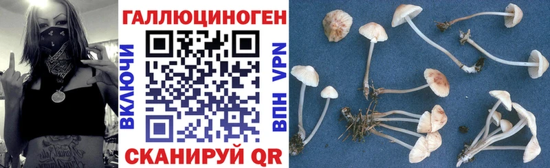 Галлюциногенные грибы ЛСД  Удомля 
