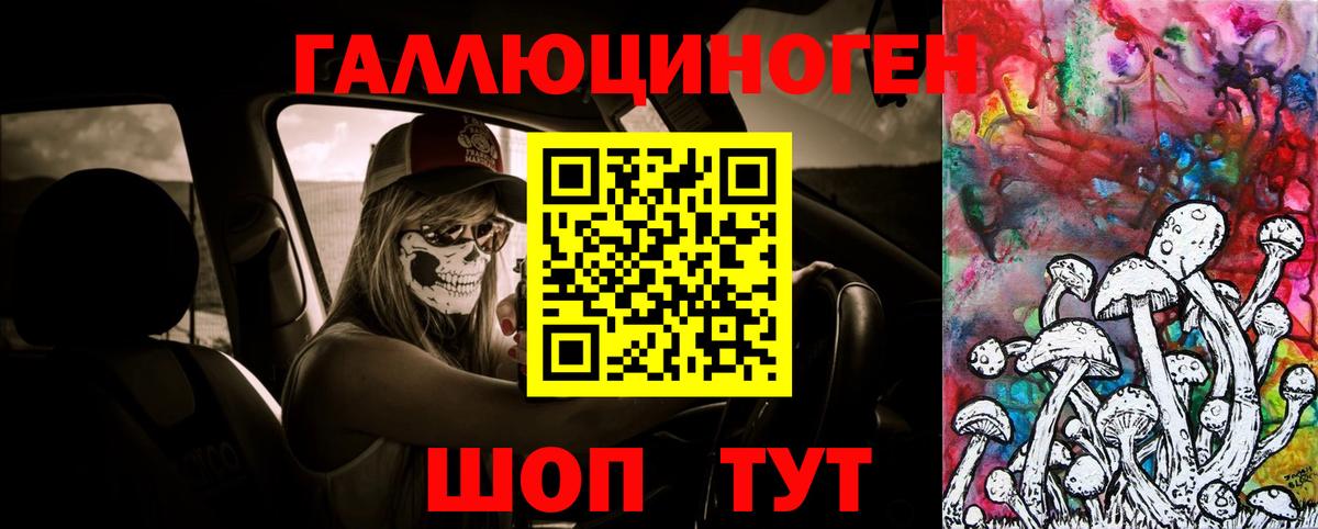 Галлюциногенные грибы Psilocybine cubensis Удомля