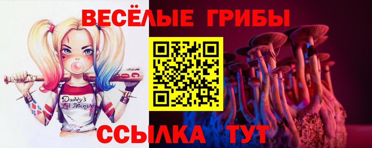 Удомля  Галлюциногенные грибы GOLDEN TEACHER  купить   Вход с VPN  Галлюциногенные грибы мицелий 